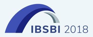 ibsbi2018